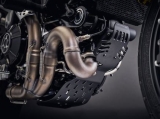 Protection moteur Performance Ducati Monster 797