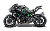 Uitlaathouder Kawasaki Z H2 SE
