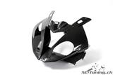 Carbon Ilmberger front mask BMW S 1000 RR