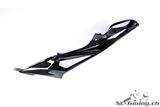 Carbon Ilmberger kit cache rservoir latral BMW S 1000 RR