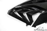 Set di carenature laterali in carbonio BMW S 1000 RR