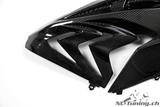 Carbon Ilmberger side fairing set BMW S 1000 RR