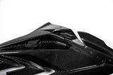 Set di carenature laterali in carbonio BMW S 1000 RR