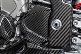 Cubre pin de carbono Ilmberger BMW S 1000 RR