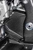 Carbon Ilmberger Ritzelabdeckung BMW S 1000 RR