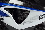 Protector de carbono Ilmberger en el conjunto de bastidor BMW S 1000 RR