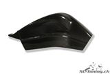 Carbon Ilmberger Schwingenabdeckung Set BMW S 1000 RR