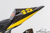 Carbon Ilmberger-achterdeksel Racing BMW S 1000 RR