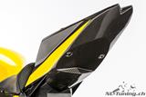 Coperchio posteriore in carbonio Racing BMW S 1000 RR