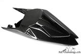 Carbon Ilmberger rear cover Racing BMW S 1000 RR