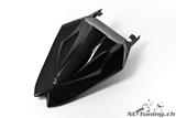 Coperchio posteriore in carbonio Racing BMW S 1000 RR