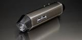 Sistema di scarico Remus Racing completo BMW S 1000 RR