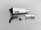 Exhaust Remus Hypercone Ducati Monster 821