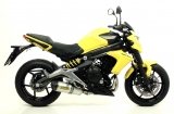 Escape Arrow Race-Tech sistema completo Kawasaki ER-6N