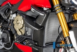 Kit cache radiateur carbone Ilmberger Ducati Streetfighter V4