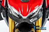 Carenado de carbono Ilmberger para Ducati Streetfighter V4