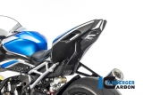 Carbon Ilmberger bakre kpa set med tank kpa BMW M 1000 RR