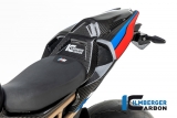 Carbon Ilmberger bakre mittsektion med en person BMW M 1000 RR