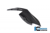 Carenado trasero Ilmberger carbono 2 piezas BMW M 1000 RR