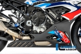 Base carenatura in carbonio BMW M 1000 RR
