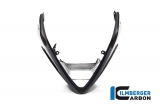 Base carenatura in carbonio BMW M 1000 RR