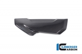 Set di coperture laterali del radiatore dellacqua in carbonio BMW S 1000 XR