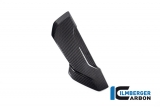 Set di coperture laterali del radiatore dellacqua in carbonio BMW S 1000 XR