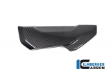Set di coperture laterali del radiatore dellacqua in carbonio BMW S 1000 XR