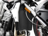 Griglia radiatore Performance Triumph Street Triple 765