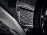 Grille de calandre Performance BMW S 1000 R