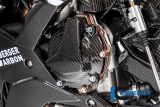 Coperchio alternatore in carbonio BMW S 1000 R