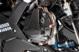 Carbon Ilmberger couvercle d'alternateur BMW S 1000 R