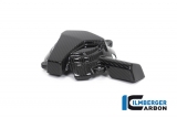 Carbon Ilmberger alternator cover BMW S 1000 R