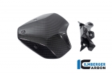 Koolstofvezel windscherm BMW S 1000 R