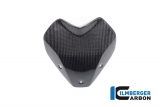 Koolstofvezel windscherm BMW S 1000 R