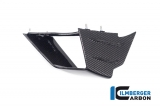 Kit dadaptation des winglets dorigine en carbone Ilmberger pour BMW S 1000 RR