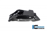 Kolfiber Ilmberger nummerpltshllare Ducati Multistrada V4