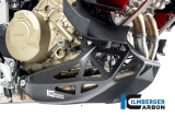 Carbon Ilmberger engine cover below Ducati Multistrada V4
