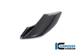 Carbono Ilmberger cubre en la parte superior conjunto BMW S 1000 R