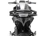 Porta targa Performance BMW F 900 R