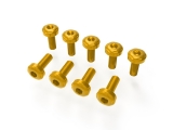 Ducabike casing screws set Ducati Streetfighter V2