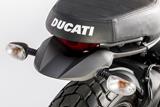 Porta indicatore posteriore in carbonio Ducati Scrambler Icon