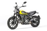 Carbon Ilmberger front wheel cover Ducati Scrambler Icon