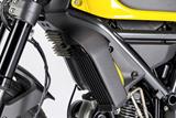 Carbon Ilmberger radiator grille set Ducati Scrambler Icon