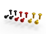 Ducabike casing screws set Ducati Panigale V4