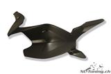 Carbon Ilmberger swingarm cover Ducati Panigale 1199