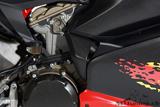 Carbon Ilmberger Seitenverkleidungseinsatz Set Ducati Panigale 1199