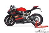 Carbon Ilmberger side panel insert set Ducati Panigale 1199