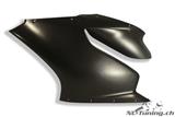 Carbon Ilmberger Seitenverkleidung Set Strasse Ducati Panigale 1199