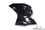 Carbon Ilmberger side fairing racing set Ducati Panigale 1299